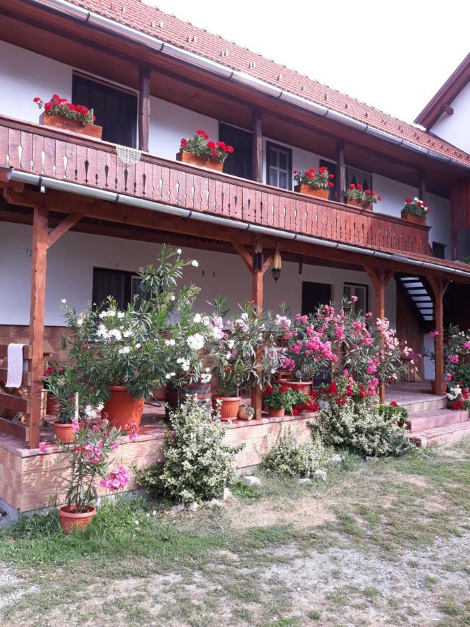 Frühstückspension Molnar Vendeghaz